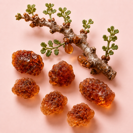 Commiphora Myrrha Extract