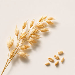 Avena Sativa Extract